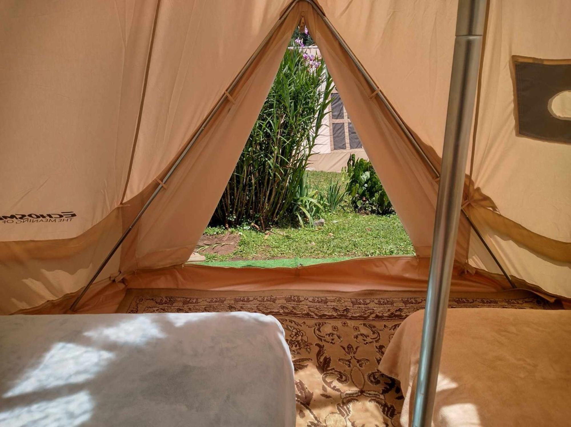 بيت شباب Agartha Mountain Retreat بوكيتي المظهر الخارجي الصورة